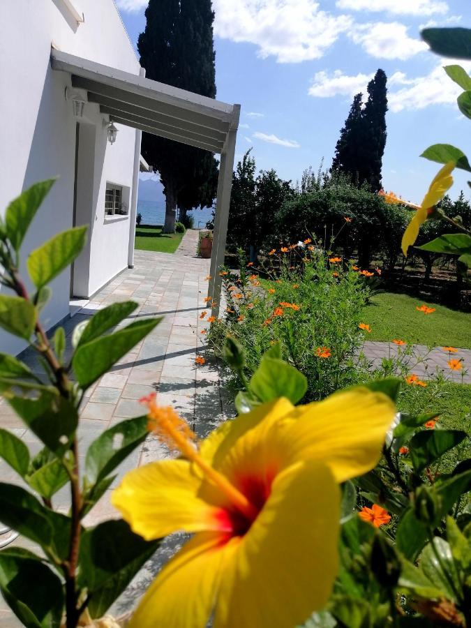 Villa Maria Epidaurus Zewnętrze zdjęcie