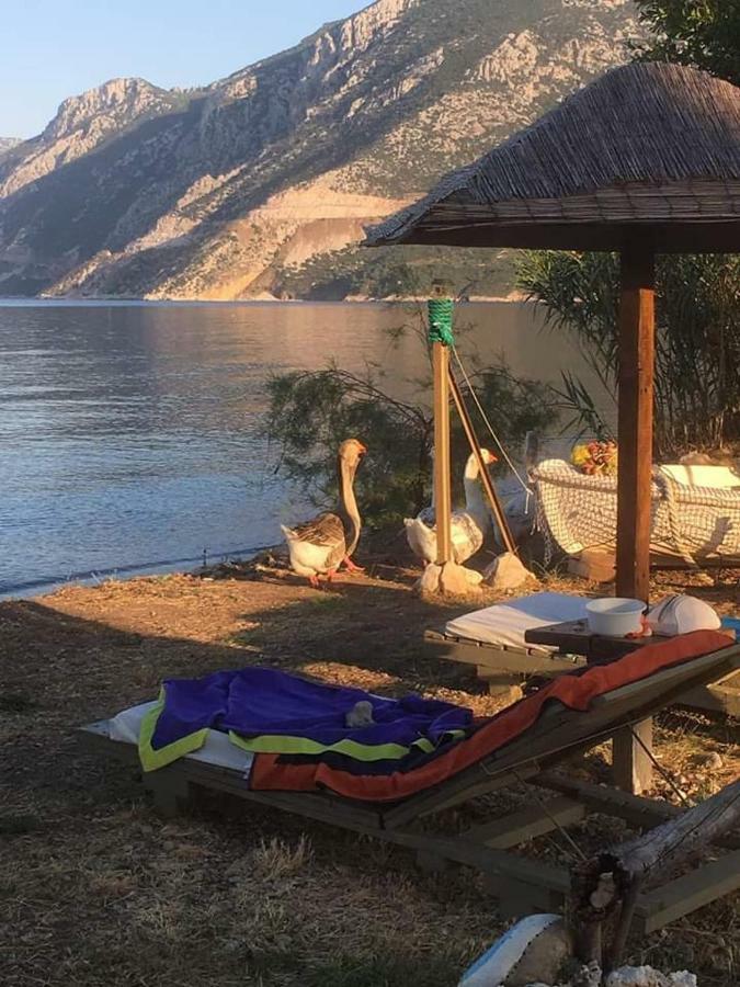 Villa Maria Epidaurus Zewnętrze zdjęcie