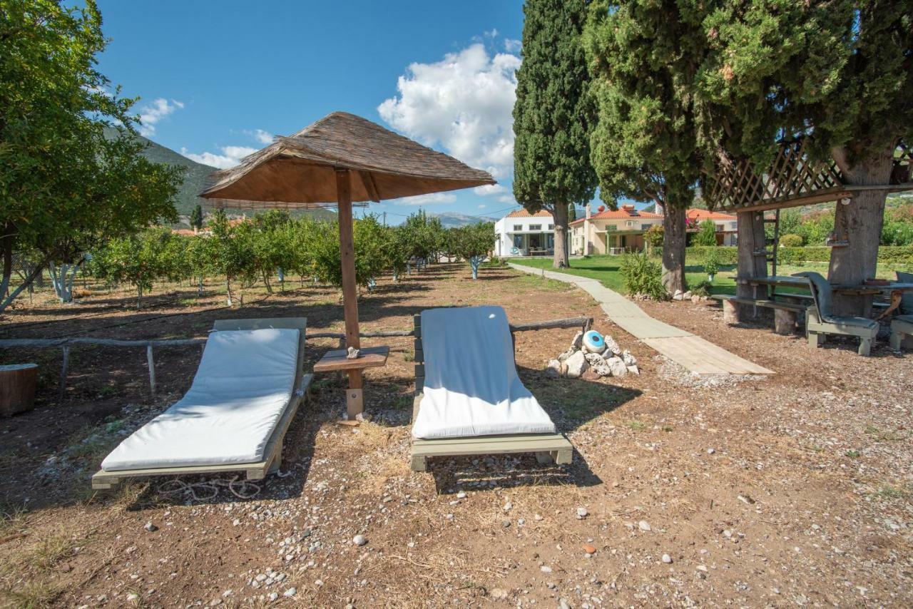 Villa Maria Epidaurus Zewnętrze zdjęcie